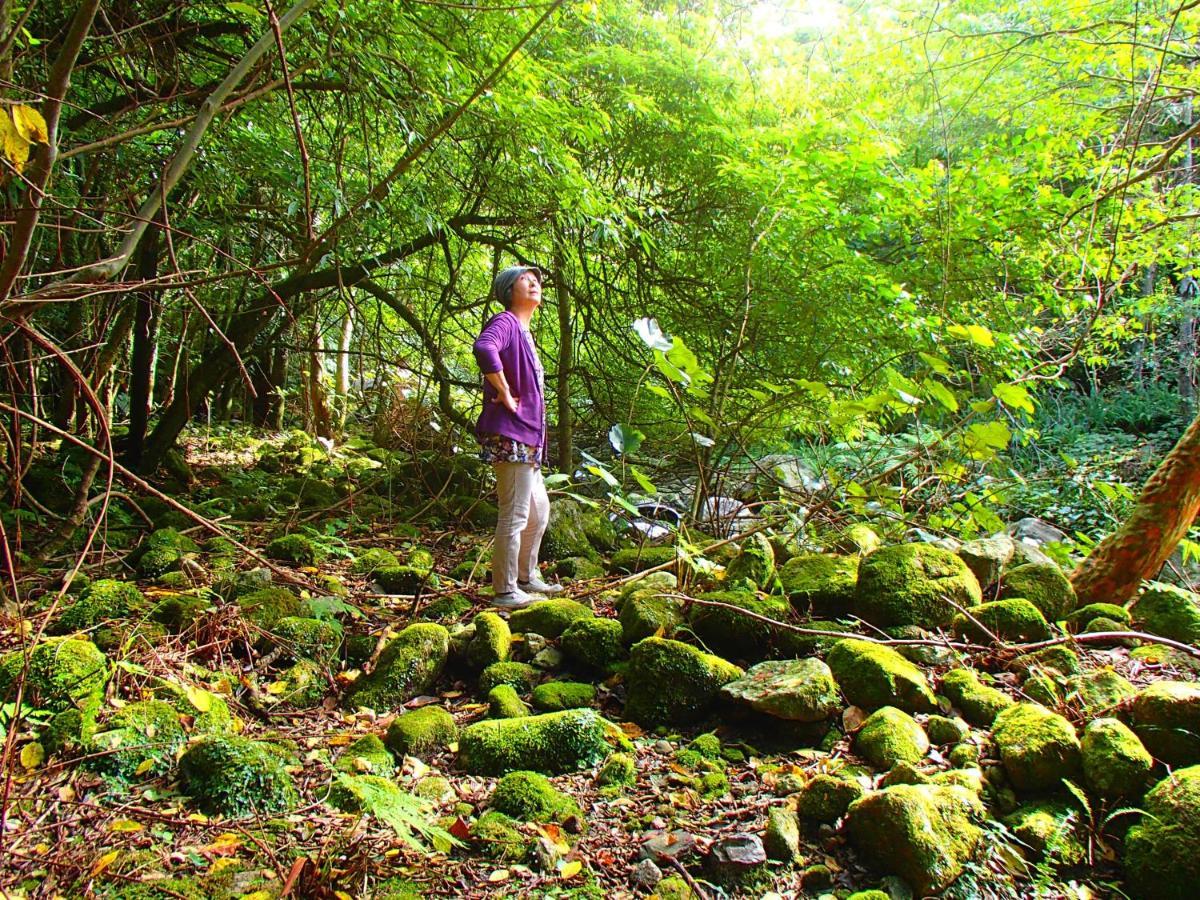 屋久島コテージ対流山荘 Yakushima  Esterno foto