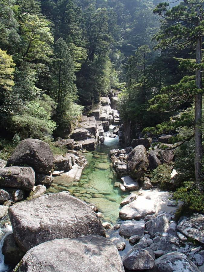 屋久島コテージ対流山荘 Yakushima  Esterno foto